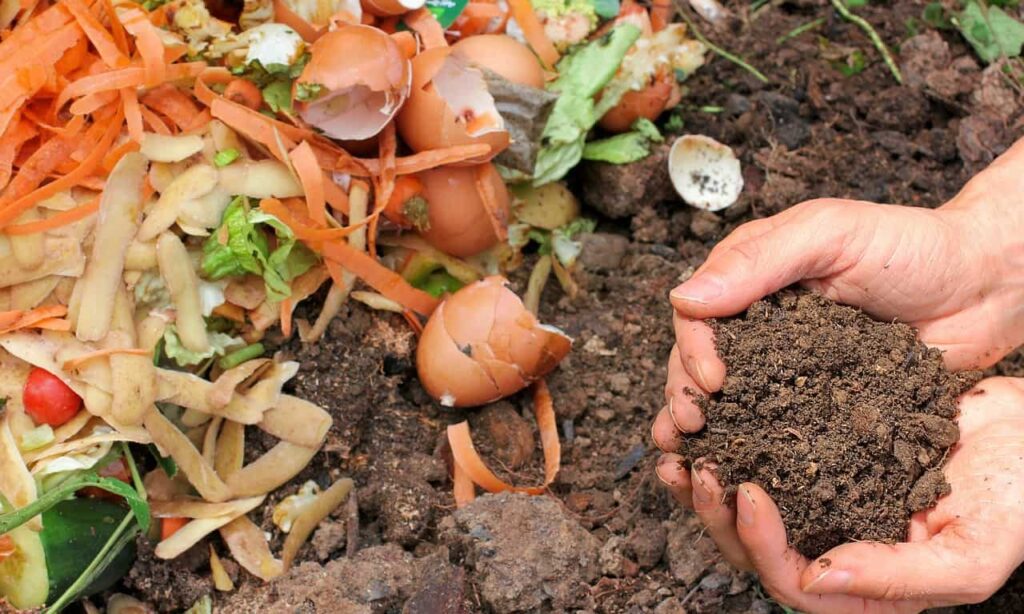 Compostadoras: Solución Ecológica para Abono Nutritivo | De La Cocina A La Huerta