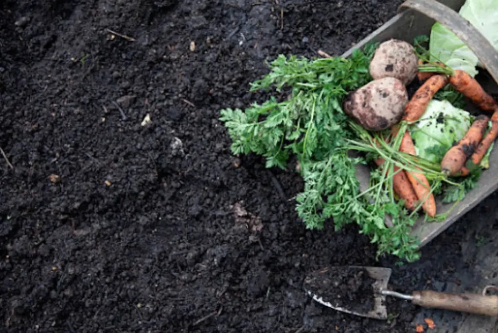 compostaje 24/7, gestión residuos orgánicos, gestión de residuos, desechos orgánicos, compostaje, compostaje continuo