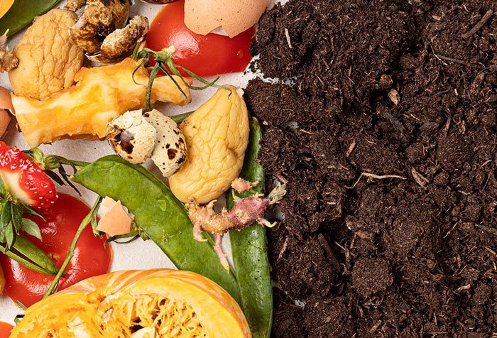 Compostadoras: Solución Ecológica para Abono Nutritivo | De La Cocina A La Huerta