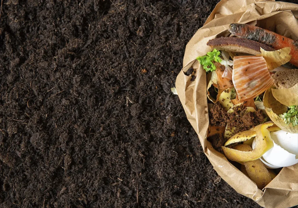 ¿Cómo hacer compost? | De La Cocina A La Huerta