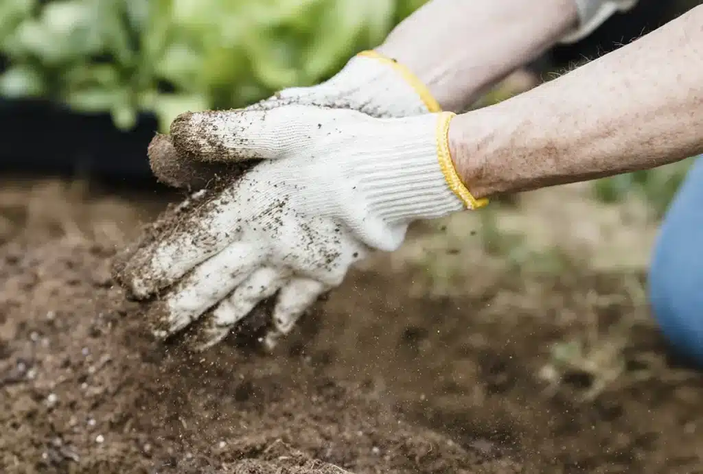 Mitos y verdades sobre compostaje y desperdicio alimentario Mitos y verdades sobre el compostaje y el desperdicio alimentario | De La Cocina a La Huerta