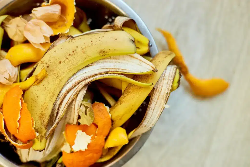 Comerç minorista: el problema del malbaratament alimentari El comercio minorista y el problema del desperdicio alimentario