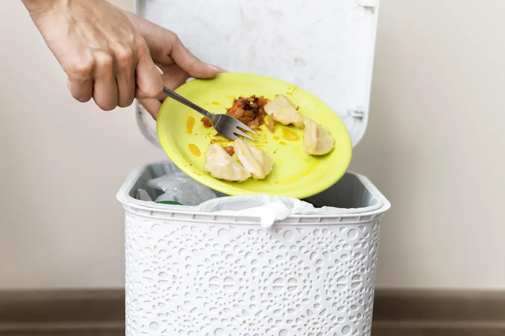 Gestió De Residus | De La Cocina A La Huerta ¿Qué residuos orgánicos compostables puede gestionar tu empresa?