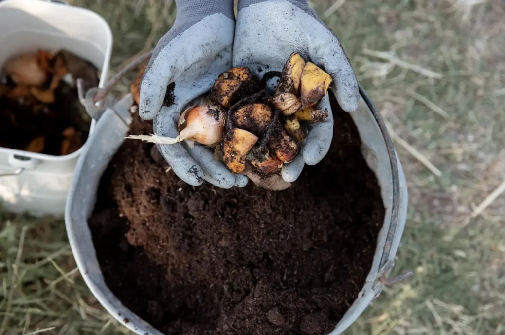 Compostaje sin bolsas plásticas: errores y soluciones Compostaje sin bolsas plásticas: errores y soluciones