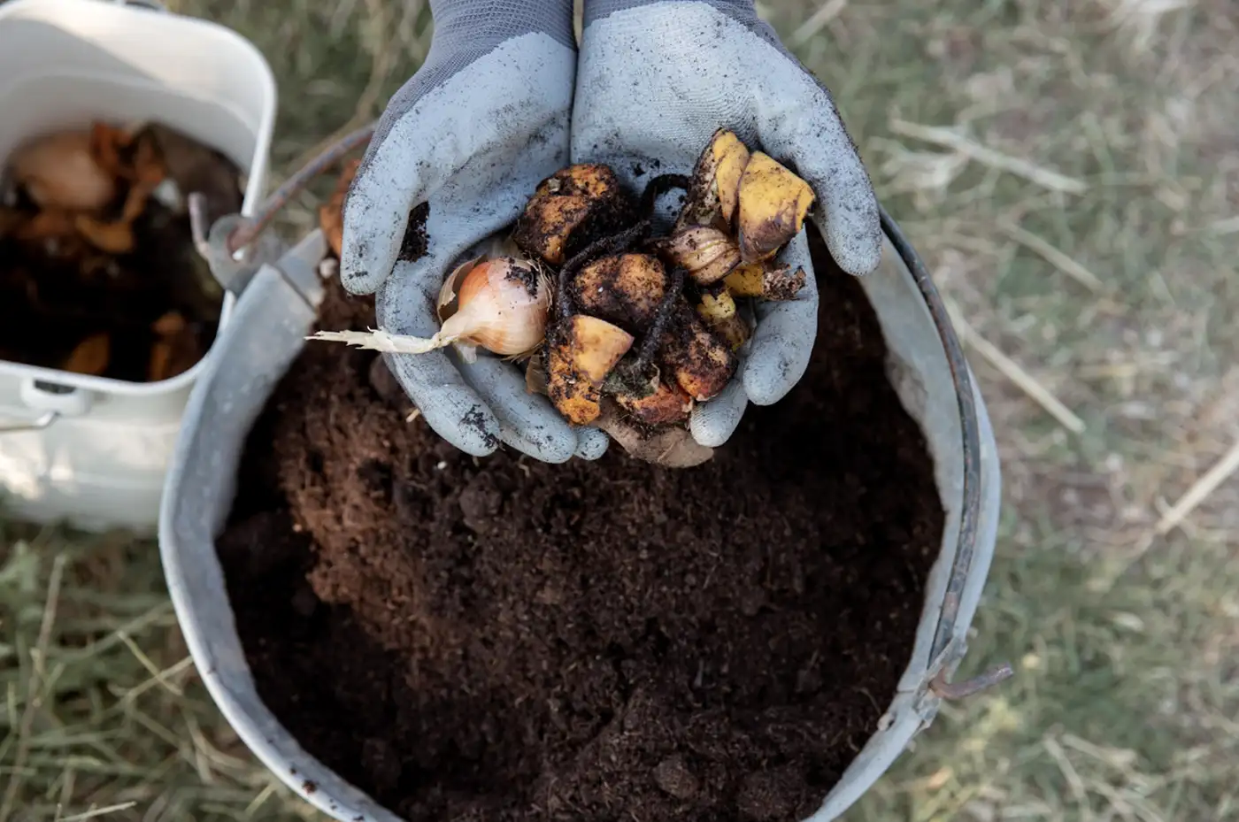Compostaje sin bolsas plásticas: errores y soluciones