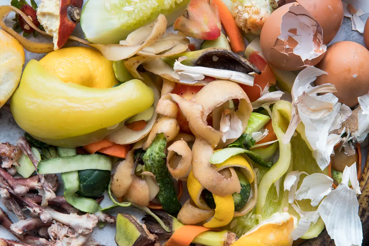 Cómo calcular el índice de desperdicio alimentario en tu restaurante paso a paso